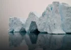 Antarctica Issues Critical Climate Red Flag Warning