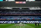 NFL Live: Scores, Results, Highlights, and Super Bowl LX Viewing Guide