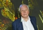 David Attenborough’s Marriage Ends After 47 Years Due to Tragic Call