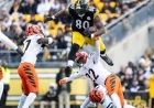 Twitter Criticizes Zac Taylor, Bengals Following Loss to Steelers