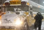 Ontario School Bus Cancellations: How Decisions Are Made by School Boards