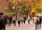 International Student Enrollment Drops Significantly in U.S. Under Trump Immigration Policies
