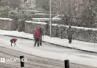 Met Office Issues Snow and Ice Warnings Amid Sub-Zero Night Forecast
