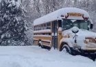 Southern Ontario: School Bus Cancellations and Closures on November 17, 2025