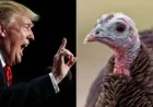 Trump’s Unusual Thanksgiving Gaffe Sparks Backlash