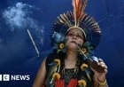Brazil Establishes Indigenous Territories Amid COP30 Protests