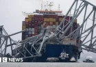 Report: Faulty Wire on Ship Likely Caused Baltimore Bridge Collapse