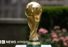 2026 World Cup: Which Countries Have Qualified?