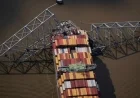 Faulty Wire Blamed for Cargo Ship Collision with Baltimore Bridge: Report