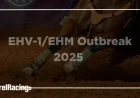 EHV-1/EHM Outbreak: Essential Updates for Horse Owners After Texas Events