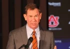 Who Advises Auburn AD John Cohen in Coaching Search?