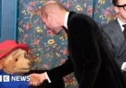 Prince and Princess of Wales Delight Fans, Meet Paddington Bear at Royal Variety