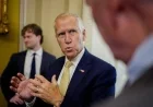 Tillis Urges DHS to Oversee Charlotte Border Patrol