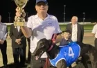 NSW Greyhound Racing Highlights – November 21