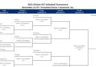 2025 SEC Volleyball Tournament: Bracket, Schedule, and Scores Revealed