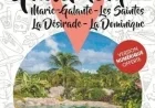 Discover Guadeloupe’s Hidden Gems with Petit Futé Guide