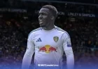Daniel Farke Suggests Willy Gnonto Won’t Play for Leeds Again