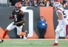 Bengals’ Higgins Suffers Concussion from Turf Impact