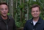 Dec Confronts Ant Over Alleged ITV Campmate Feud on I’m A Celebrity