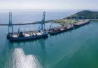 Porto de Imbituba Achieves Best 2025 Performance in October