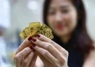 Gold Prices Surge by Over 2 Million VND on November 25th