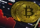 Why This Bitcoin Crash Differs from Previous Ones: 2 Key Insights