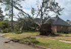 Tornado Strikes Houston Amid Thunderstorms, Reports National Weather Service