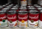 Campbell Soup Company puts VP Martin Bally on leave after alleged “3D-printed chicken” rant; stock wobbles as brand defends ingredients