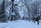Minnesota Snowfall Totals Revealed by Weather Watchers – MPR News