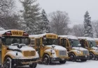 Check Ontario School Bus Cancellations and Delays in Your Region