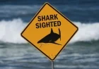 Crowdy Bay shark attack: woman killed, man seriously injured at Kylies Beach on NSW Mid North Coast