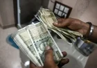 India Rupee Falls: Impact on INR/USD Exchange Rate, Prices, and Incomes