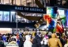 Black Friday 2025: Key Winners and Losers Revealed