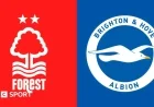 Nottingham Forest vs. Brighton: Essential Stats and Highlights
