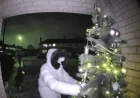 Hooded Thief Steals Christmas Tree from Mother’s Doorstep