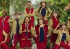 Discover the 2025 I’m A Celebrity Cast and Latest Eliminations