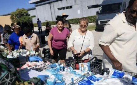 November SNAP Benefits: Latest Judge Rulings Explained