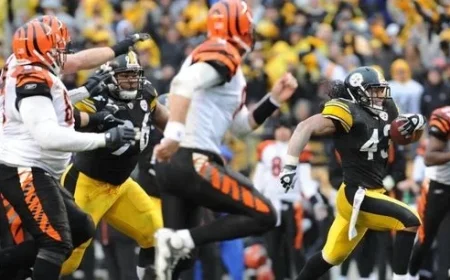 Ex-Steelers Safety Troy Polamalu Haunted Former NFL Running Back’s Dreams