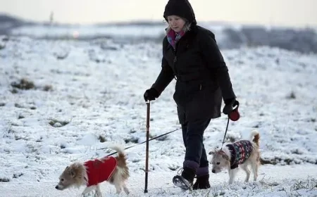 Snow forecast: No flakes for Liverpool this week as mild, windy air takes charge