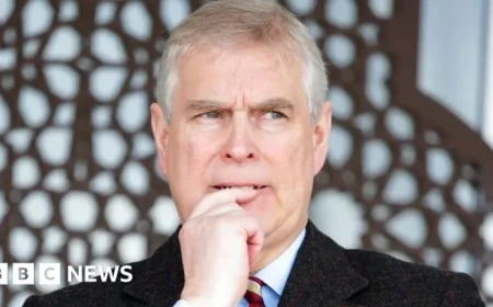 Democrats Urge Andrew to Face US Questions on Jeffrey Epstein