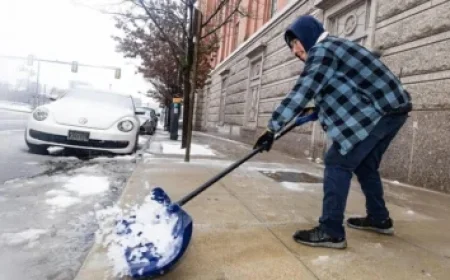 Elias Lindholm Sidelined for Weeks, Affecting Bruins NHL Status