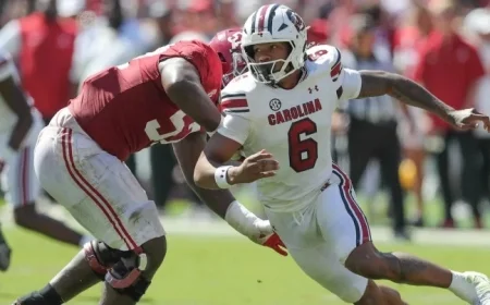 South Carolina’s Dylan Stewart Suffers Injury, Added to Report