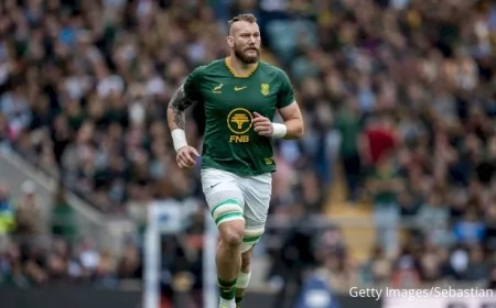 South Africa Springboks Face Japan: Live Rugby Scores and Updates