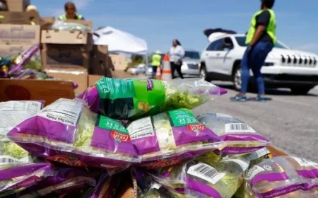 SNAP Disruption Drives Unprecedented Demand, Says Food Bank CEO