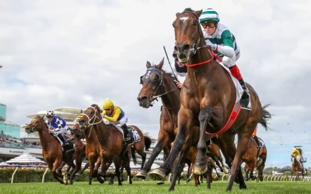2025 Melbourne Cup horses: full 24-runner field, barriers, and storylines after the draw