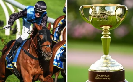 Melbourne Cup 2025: wide gate for topweight Al Riffa, favourite Half Yours draws sweetly as heavy ground looms