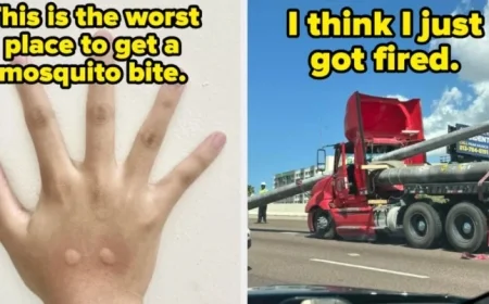 50 Lives Upended by Their Own Poor Choices Last Month