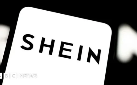 Shein Faces Accusations of Selling Childlike Sex Dolls in France