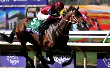 Forever Young Triumphs in $7M Breeders’ Cup Classic in Japan