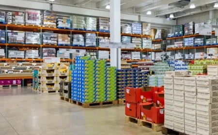 Top New Arrivals at Costco for November 2025